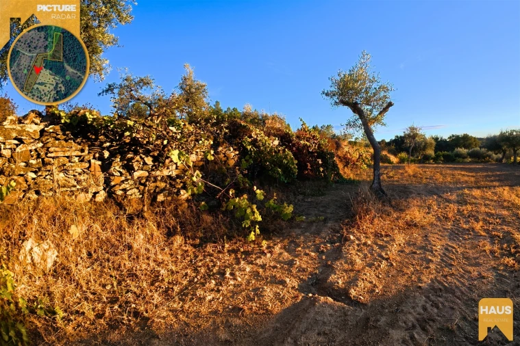 Terreno Agricola ou Rústico para Venda em Freixial e Juncal do Campo Foto 20