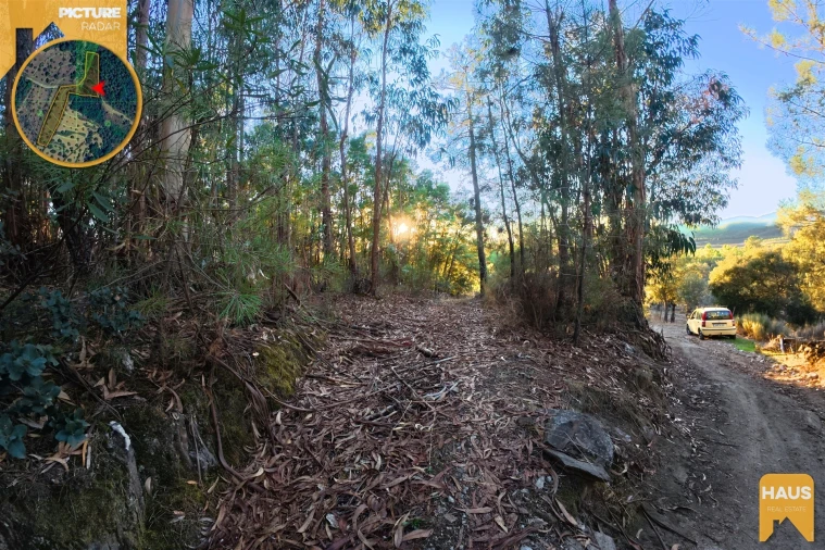 Terreno Agricola ou Rústico para Venda em Freixial e Juncal do Campo Foto 21