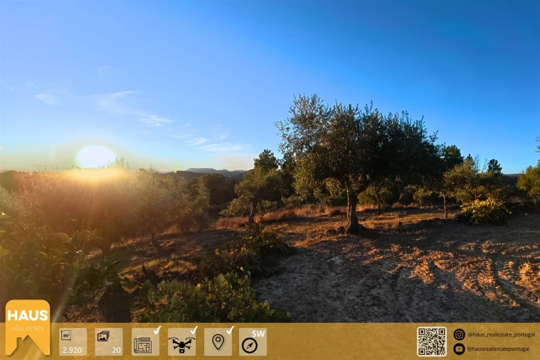 Terreno Agricola ou Rústico para Venda em Freixial e Juncal do Campo Foto 1