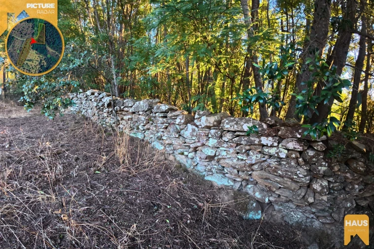 Terreno Agricola ou Rústico para Venda em Freixial e Juncal do Campo Foto 24