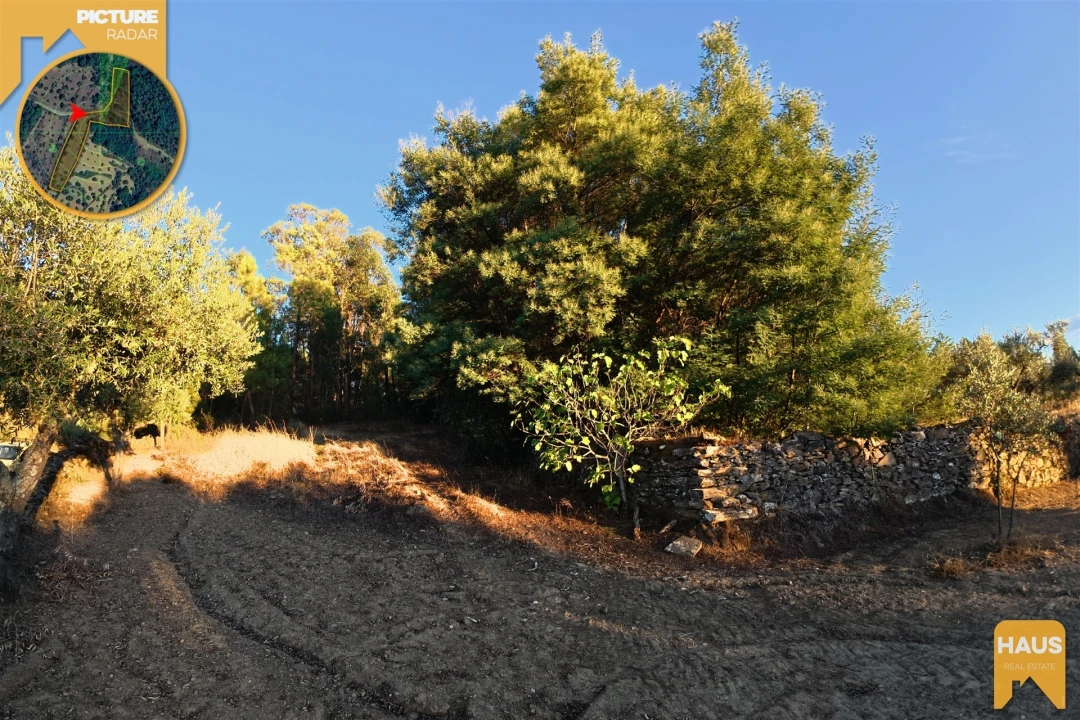 Terreno Agricola ou Rústico para Venda em Freixial e Juncal do Campo Foto 8