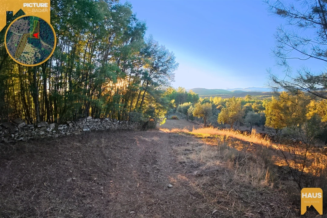 Terreno Agricola ou Rústico para Venda em Freixial e Juncal do Campo Foto 16