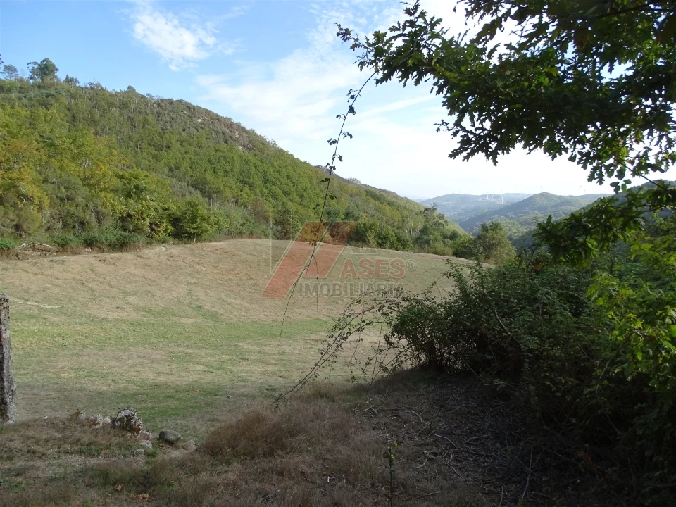 Moradia T0 para Venda em Aboim, Felgueiras, Gontim e Pedraído Foto 21