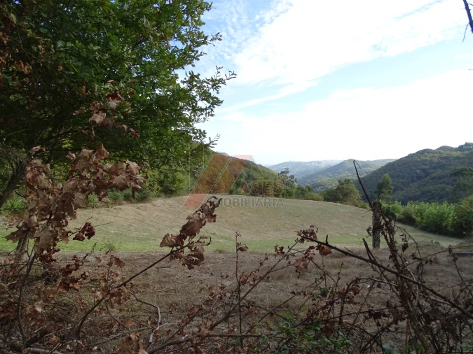 Moradia T0 para Venda em Aboim, Felgueiras, Gontim e Pedraído Foto 16