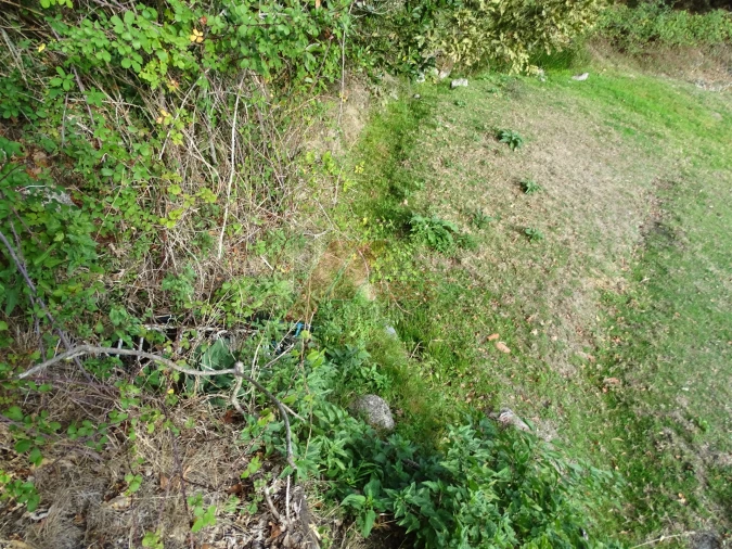 Moradia T0 para Venda em Aboim, Felgueiras, Gontim e Pedraído Foto 18