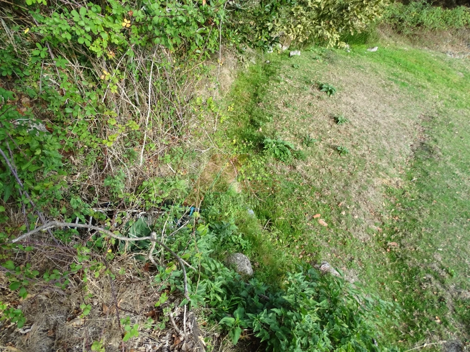 Moradia T0 para Venda em Aboim, Felgueiras, Gontim e Pedraído Foto 18