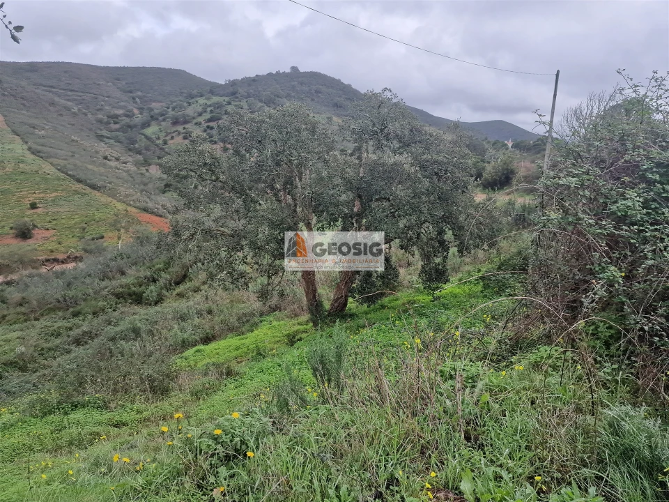 Quinta T3 para Venda em Santana da Serra Foto 25