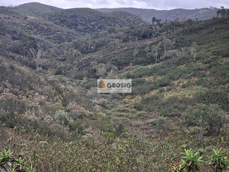 Quinta T3 para Venda em Santana da Serra Foto 28