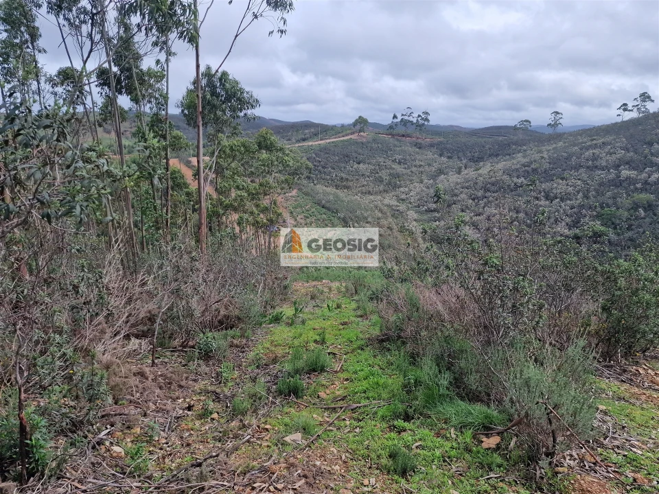 Quinta T3 para Venda em Santana da Serra Foto 32