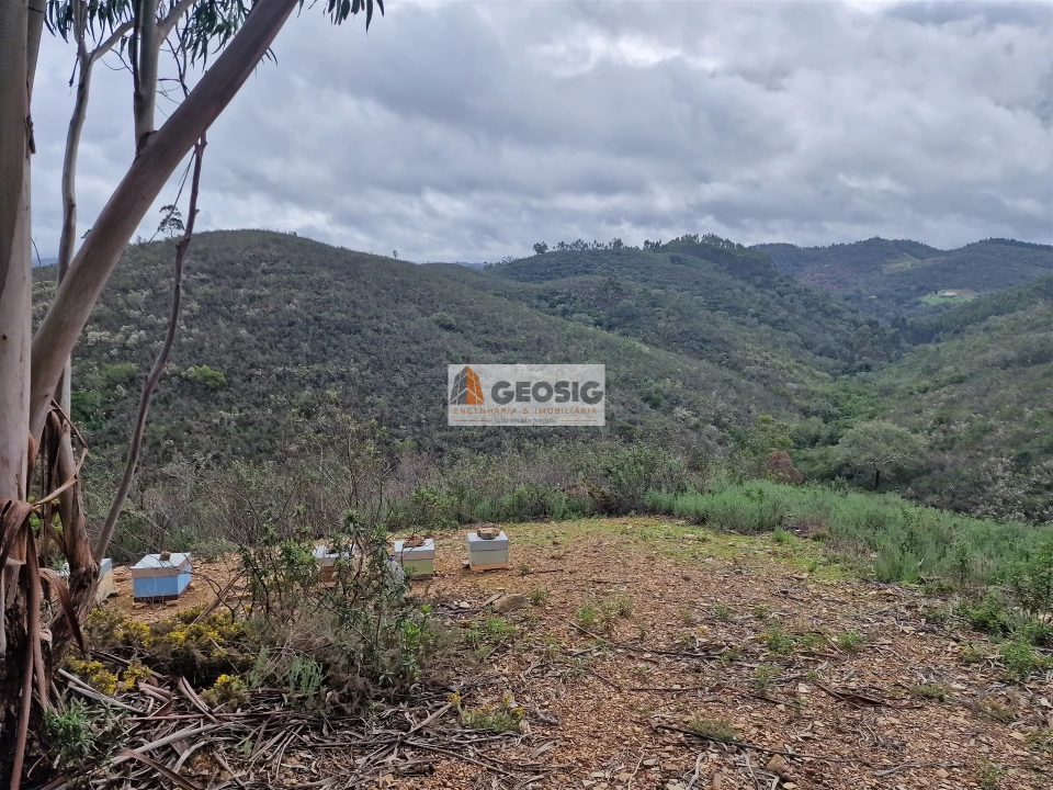 Quinta T3 para Venda em Santana da Serra Foto 30