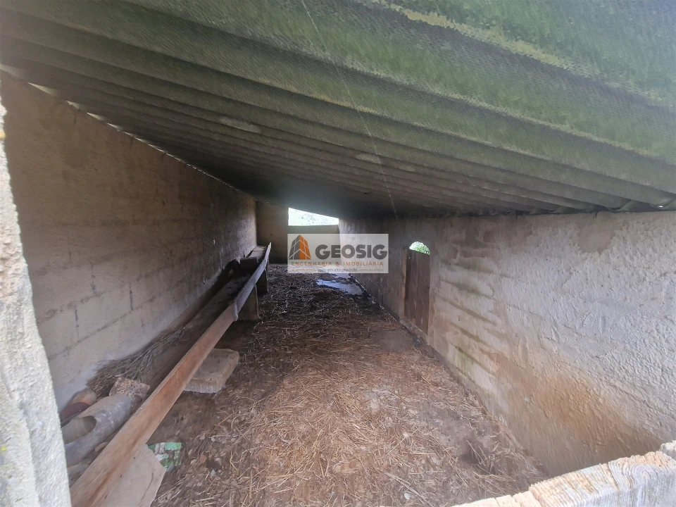 Quinta T3 para Venda em Santana da Serra Foto 17