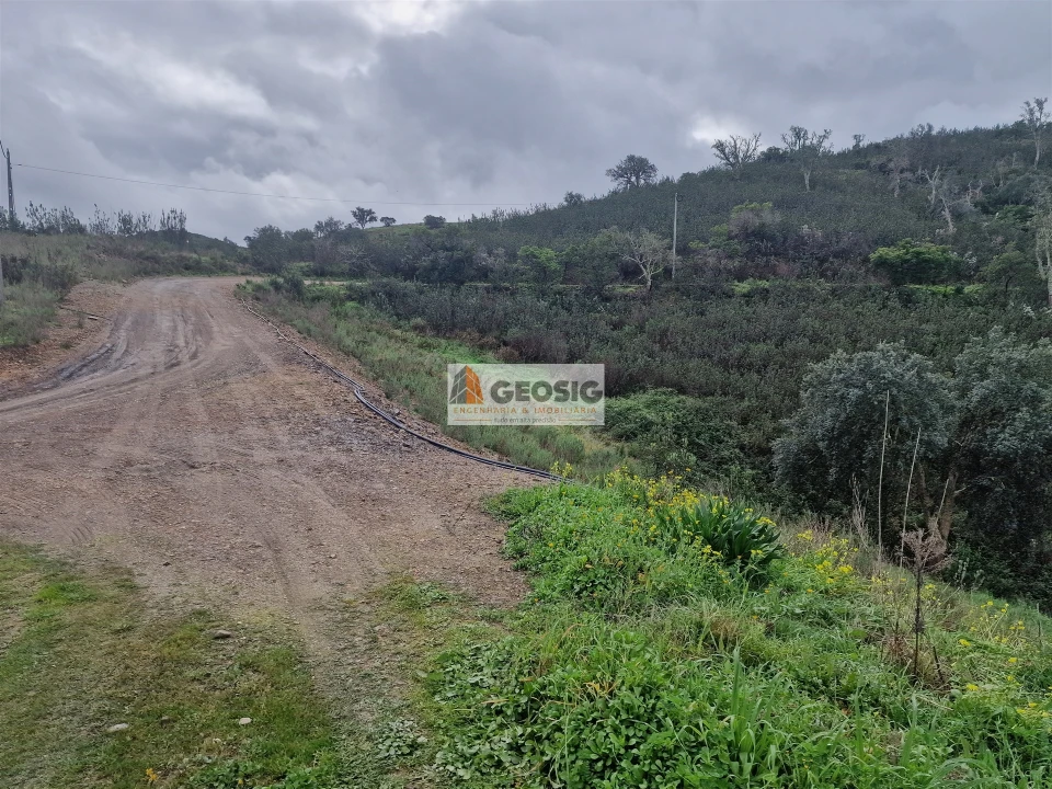 Quinta T3 para Venda em Santana da Serra Foto 26