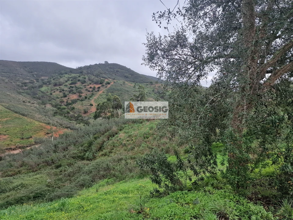 Quinta T3 para Venda em Santana da Serra Foto 22