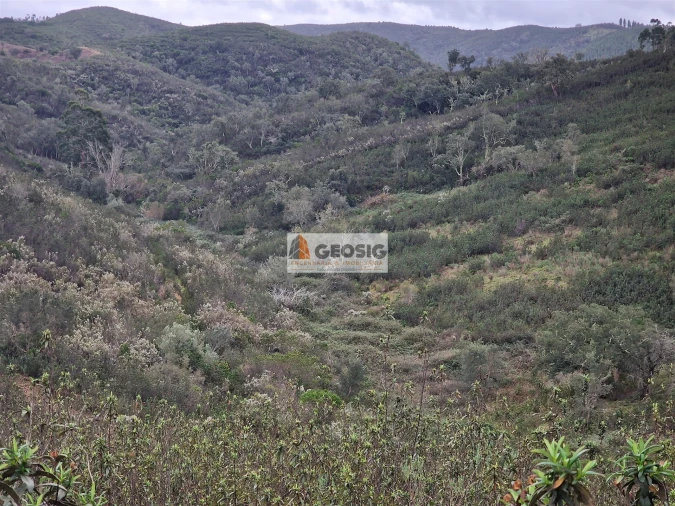 Quinta T3 para Venda em Santana da Serra Foto 28