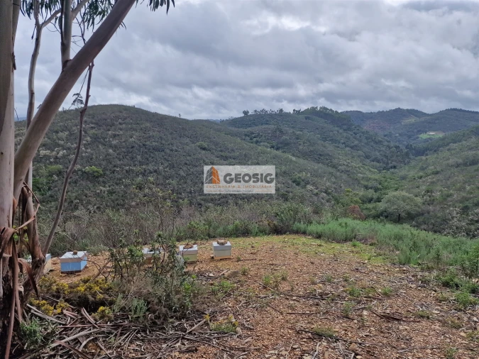 Quinta T3 para Venda em Santana da Serra Foto 30