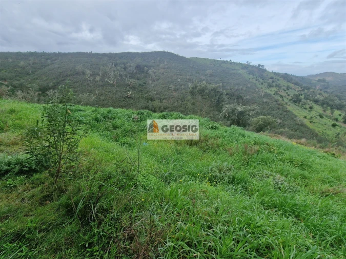 Quinta T3 para Venda em Santana da Serra Foto 23