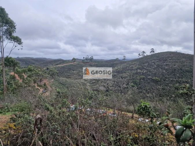 Quinta T3 para Venda em Santana da Serra Foto 31