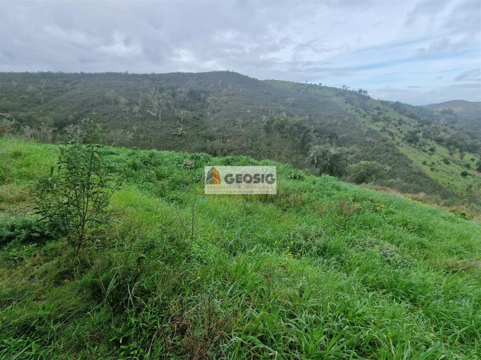 Quinta T3 para Venda em Santana da Serra Foto 23