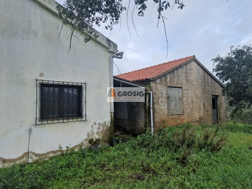 Quinta T3 para Venda em Santana da Serra Foto 4