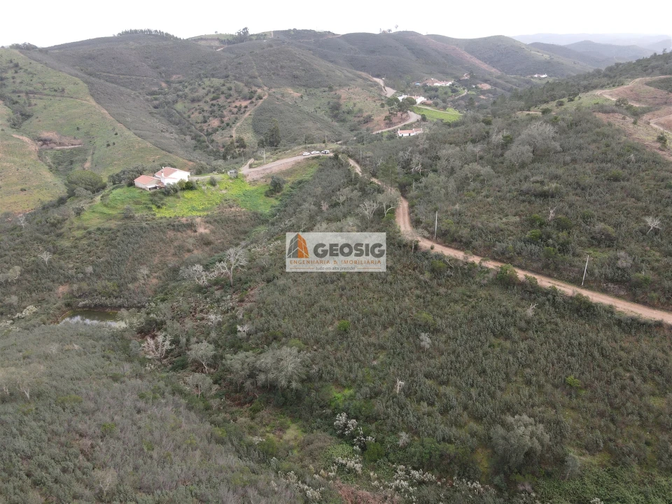 Quinta T3 para Venda em Santana da Serra Foto 38