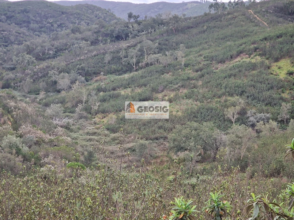 Quinta T3 para Venda em Santana da Serra Foto 27