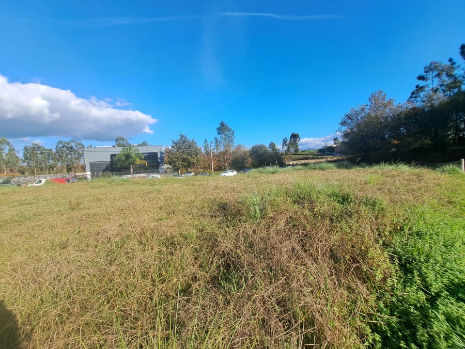Terreno Comércio / Armazém para Venda em Oleiros Foto 4