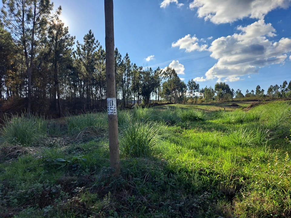 Terreno Comércio / Armazém para Venda em Oleiros Foto 1