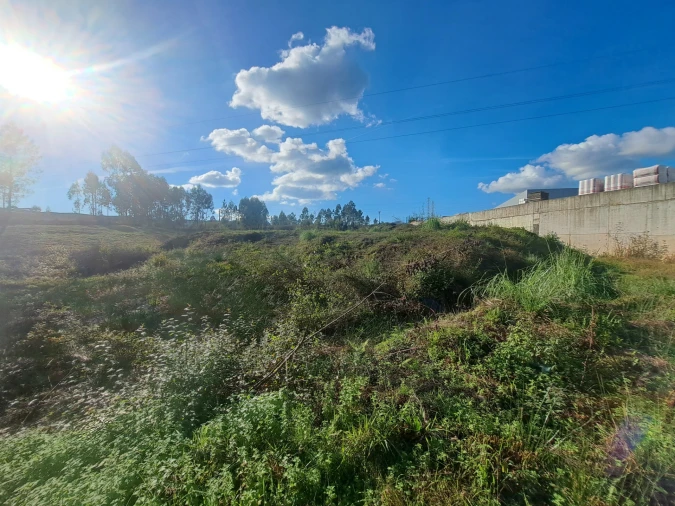 Terreno Comércio / Armazém para Venda em Oleiros Foto 3