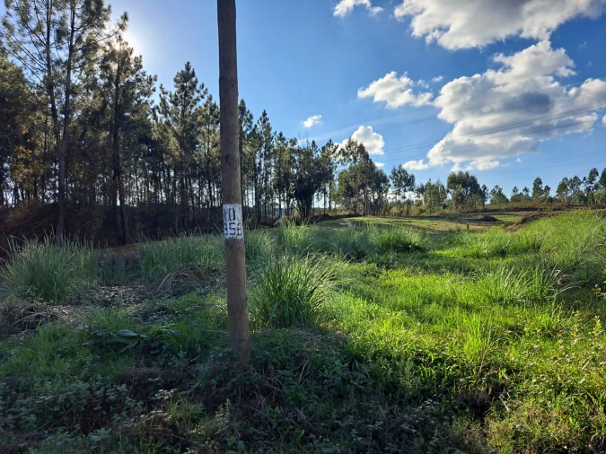 Terreno Comércio / Armazém para Venda em Oleiros
