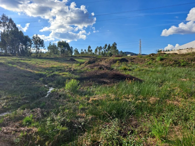 Terreno Comércio / Armazém para Venda em Oleiros Foto 5