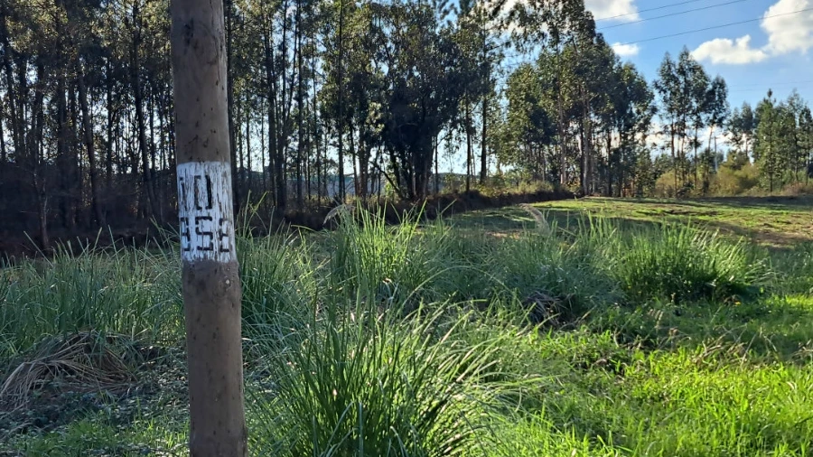 Terreno Comércio / Armazém para Venda em Oleiros