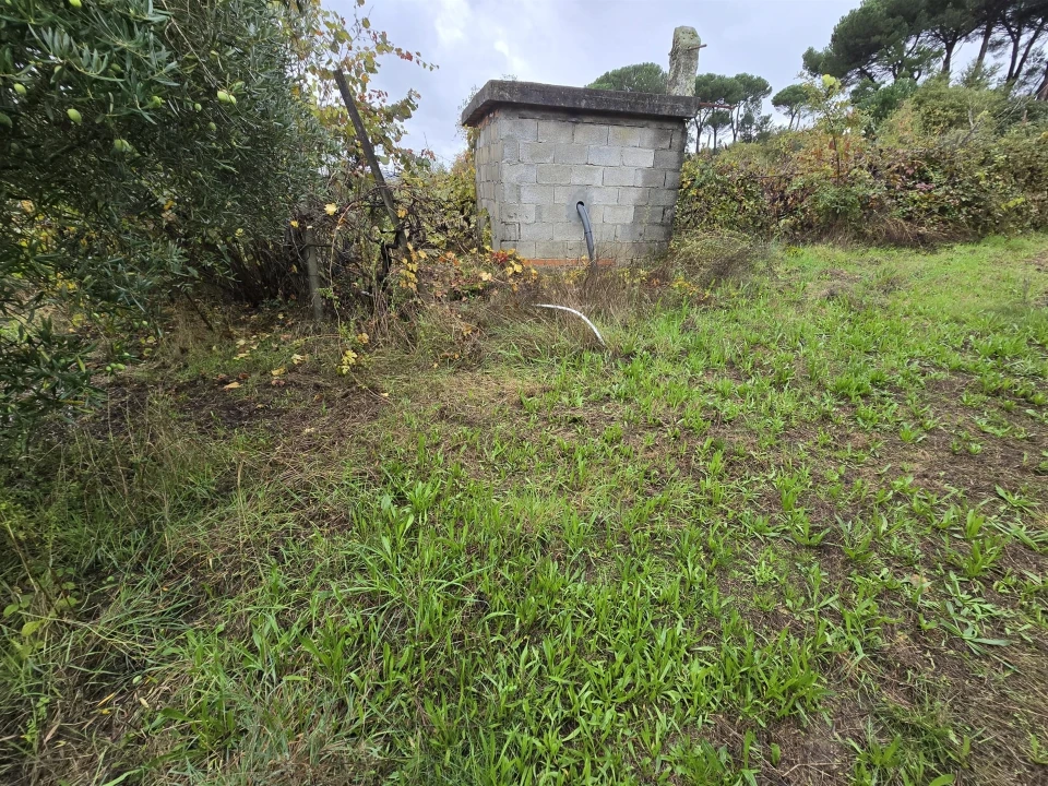 Quinta T3 para Venda em Povolide Foto 19