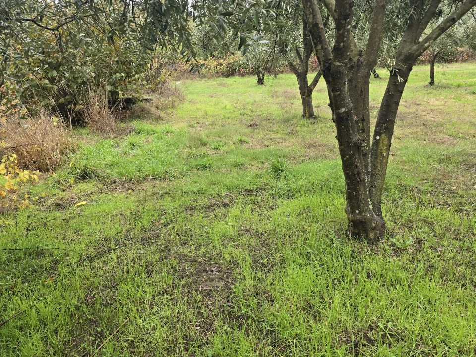 Quinta T3 para Venda em Povolide Foto 23