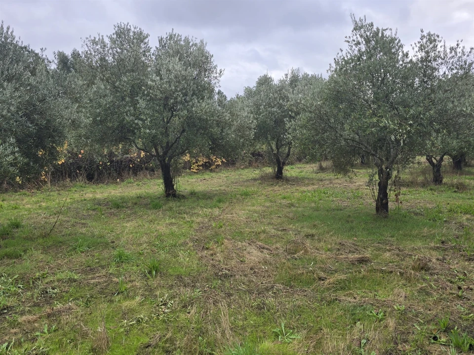 Quinta T3 para Venda em Povolide Foto 22