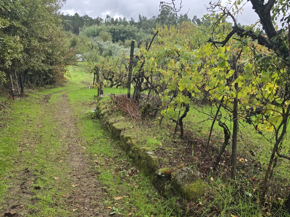 Quinta T3 para Venda em Povolide Foto 26