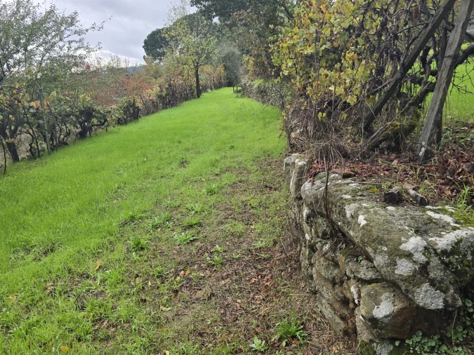 Quinta T3 para Venda em Povolide Foto 25