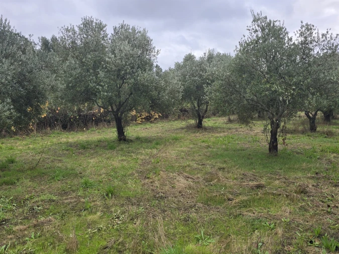 Quinta T3 para Venda em Povolide Foto 22