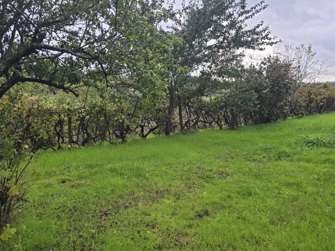 Quinta T3 para Venda em Povolide Foto 27