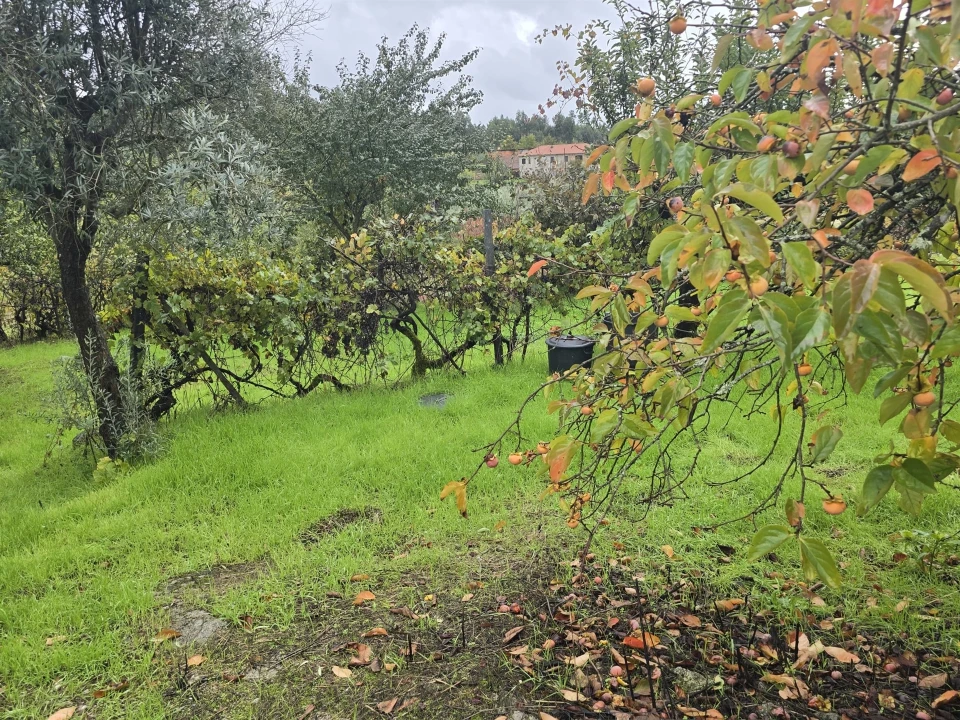 Quinta T3 para Venda em Povolide Foto 28