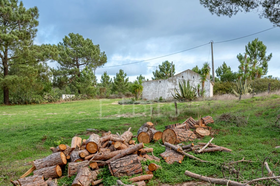 Moradia T4 para Venda em Melides Foto 5