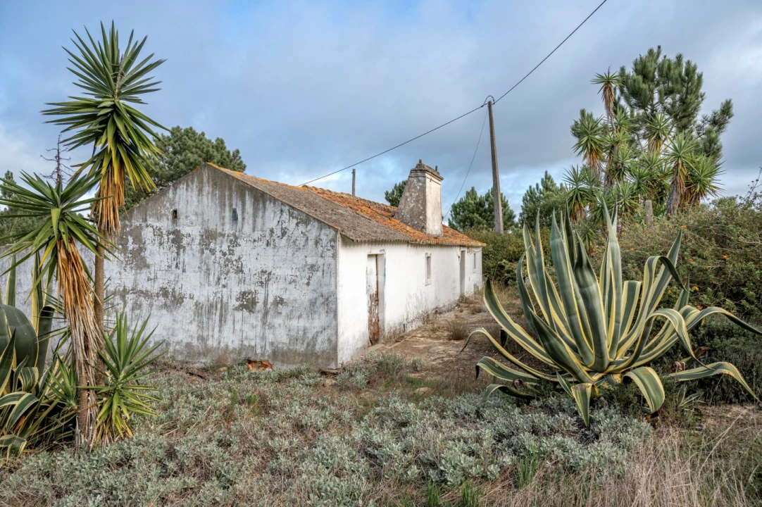 Moradia T4 para Venda em Melides Foto 6