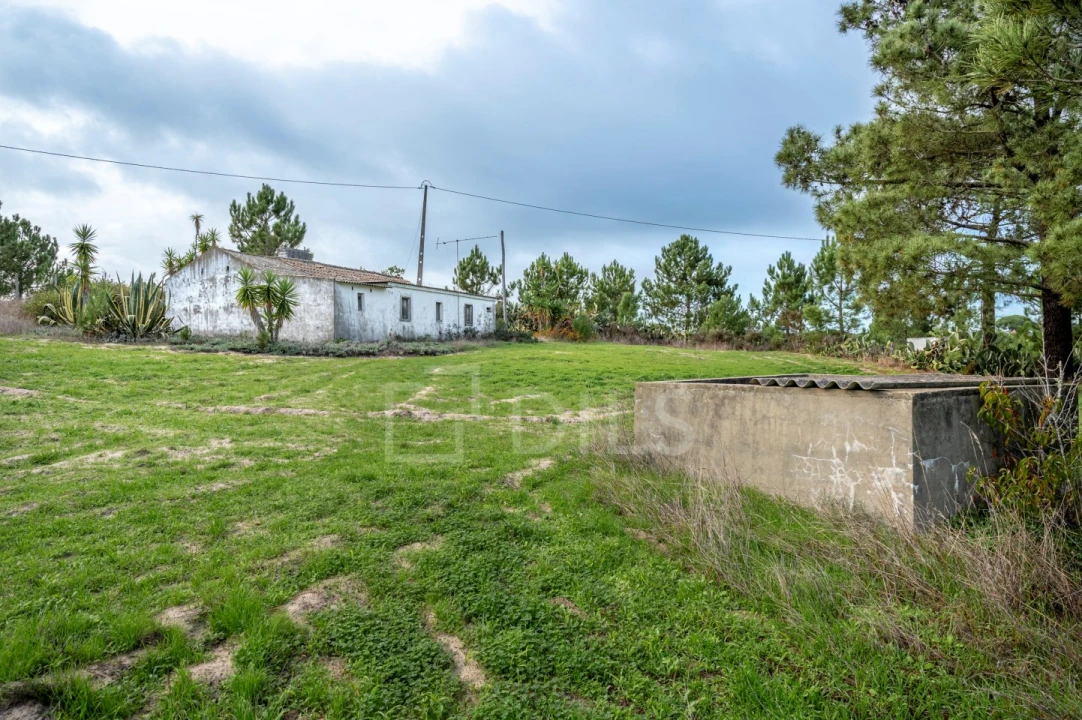 Moradia T4 para Venda em Melides Foto 17