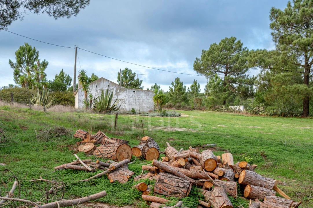 Moradia T4 para Venda em Melides Foto 18