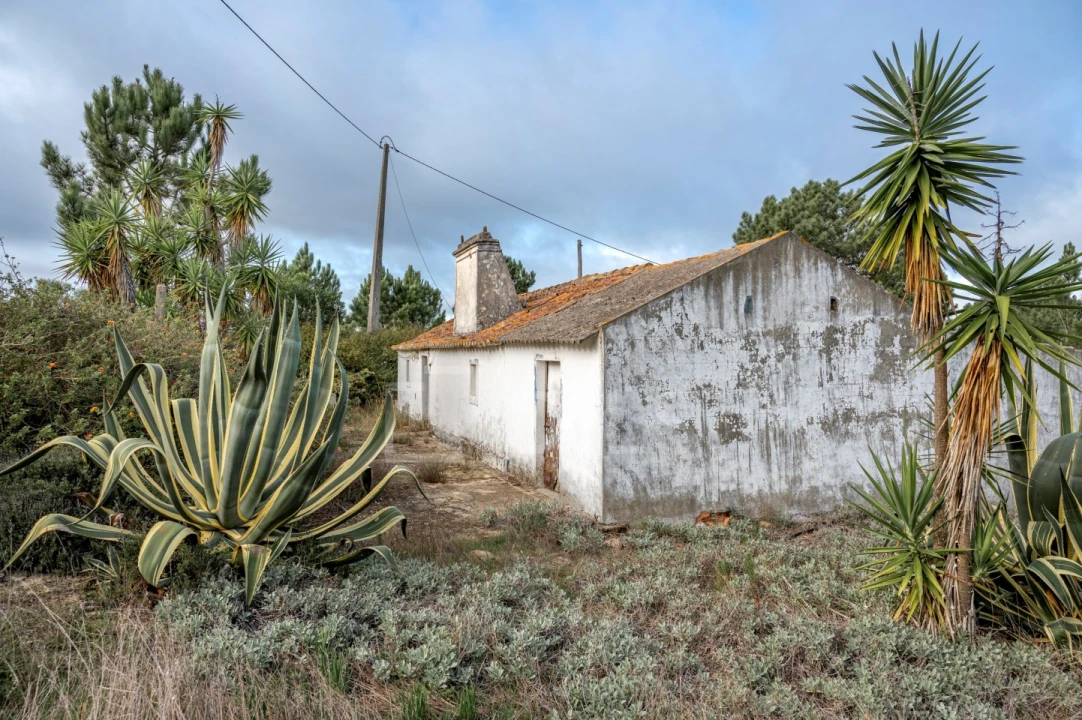 Moradia T4 para Venda em Melides Foto 20