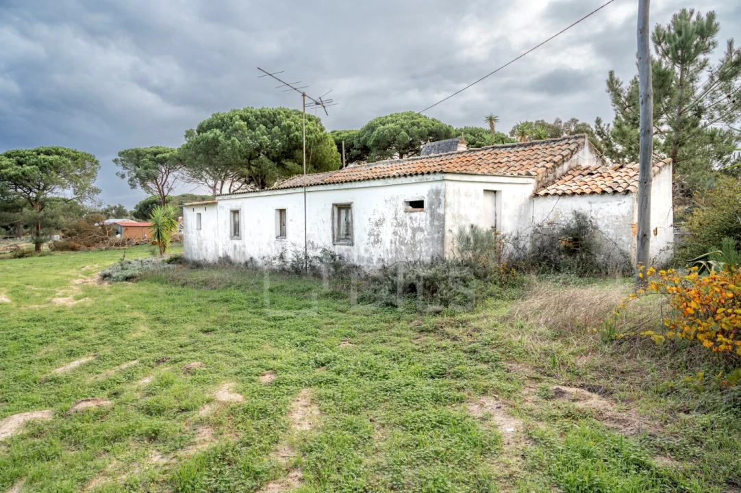 Moradia T4 para Venda em Melides Foto 21