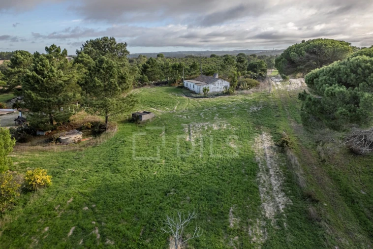 Moradia T4 para Venda em Melides