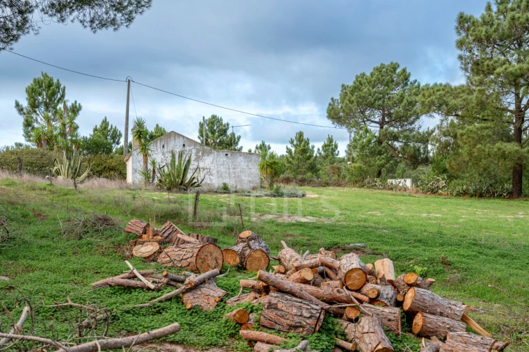 Moradia T4 para Venda em Melides Foto 18