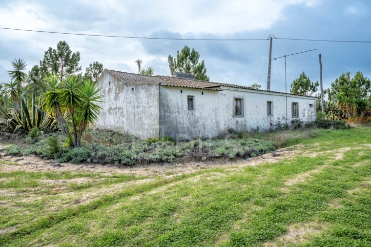 Moradia T4 para Venda em Melides Foto 22