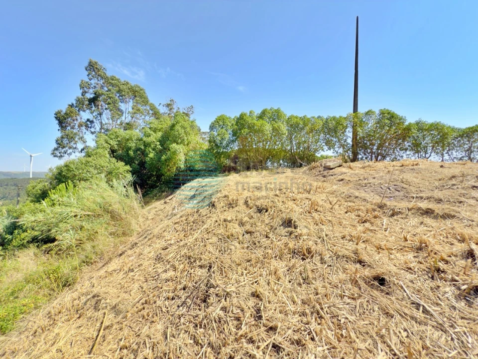 Terreno para Venda em Santa Maria, São Pedro e Matacães Foto 18