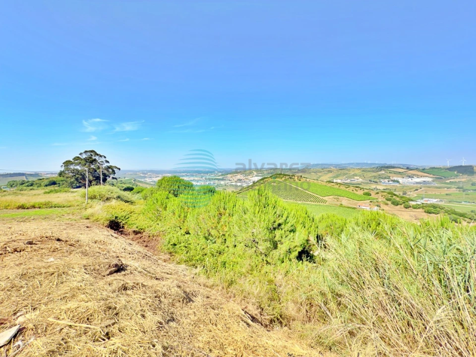 Terreno para Venda em Santa Maria, São Pedro e Matacães Foto 19